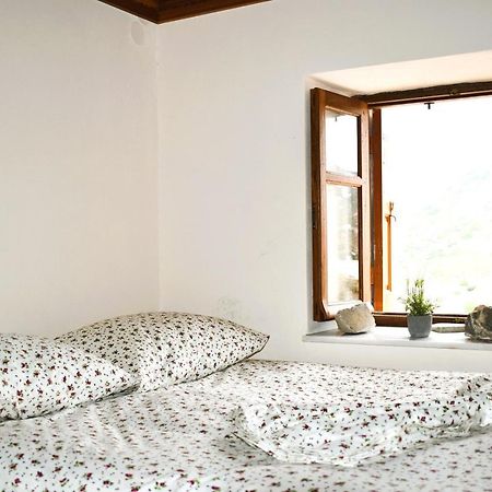 Apartamento Mesa Kastro Olympos  Exterior foto